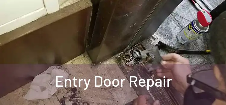 Entry Door Repair